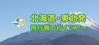 北海道・東北発 飛行機で行くツアー