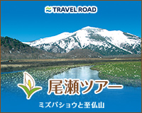 小笠原諸島 おがまるパック 小笠原諸島旅行 ツアー 東京発フェリーで行く トラベルロード 小笠原諸島 おがまるパック 小笠原諸島旅行 ツアー 東京発フェリーで行く トラベルロード