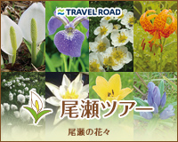小笠原諸島 おがまるパック 小笠原諸島旅行 ツアー 東京発フェリーで行く トラベルロード 小笠原諸島 おがまるパック 小笠原諸島旅行 ツアー 東京発フェリーで行く トラベルロード