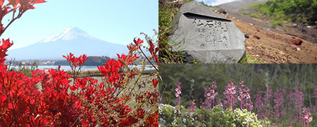 世界遺産 富士登山ツアー