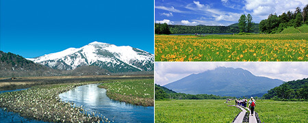 国立公園 尾瀬ハイキングツアー