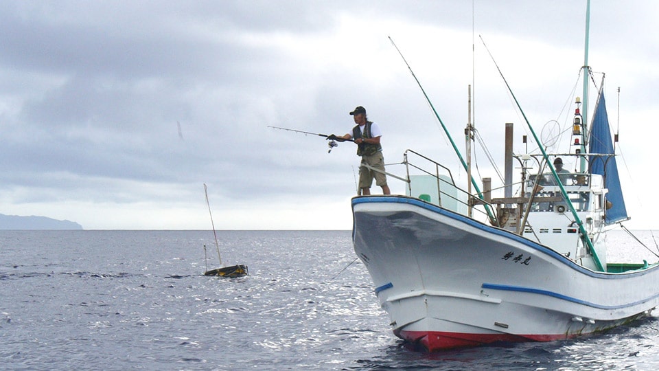 伊豆諸島で釣って食べて飲む 初心者におすすめ釣りスポットを紹介 旅のプロがオススメする旅行ガイド Tripin