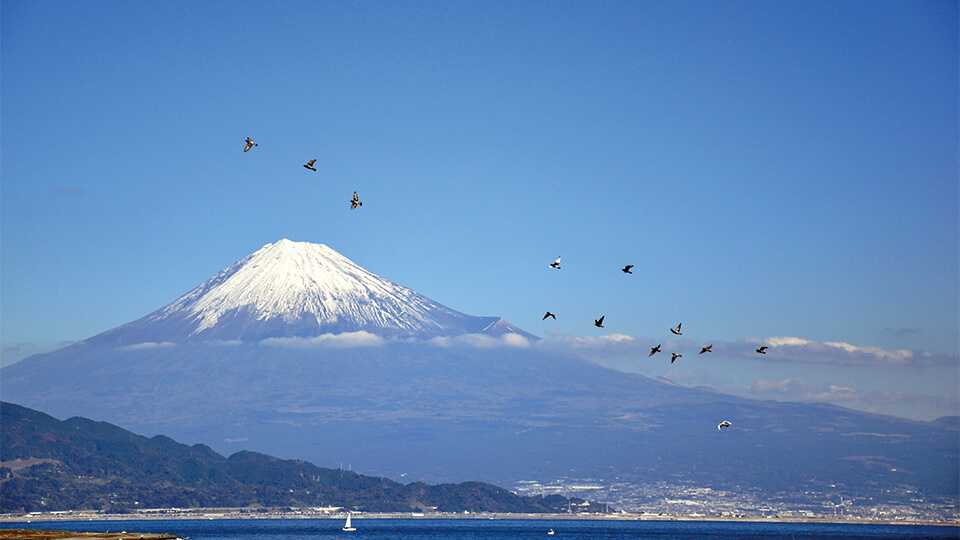 バスで行く富士登山特集