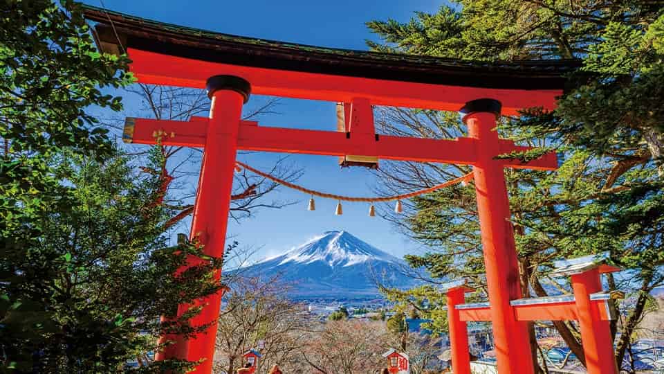 富士山登山ツアー