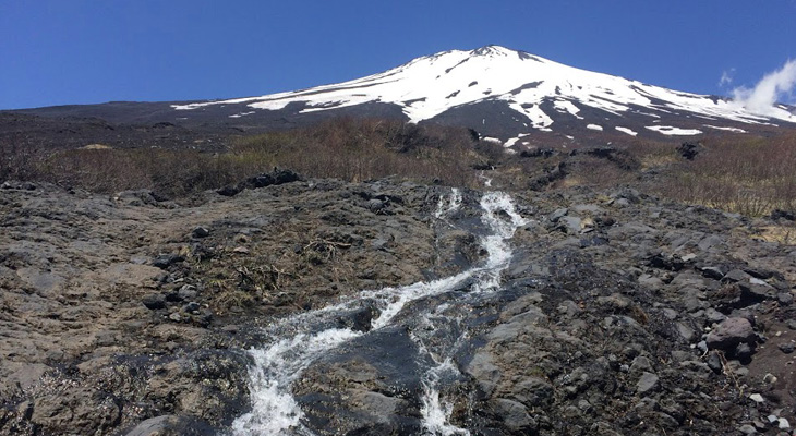 添乗員付きで行く!登らない富士山ツアー