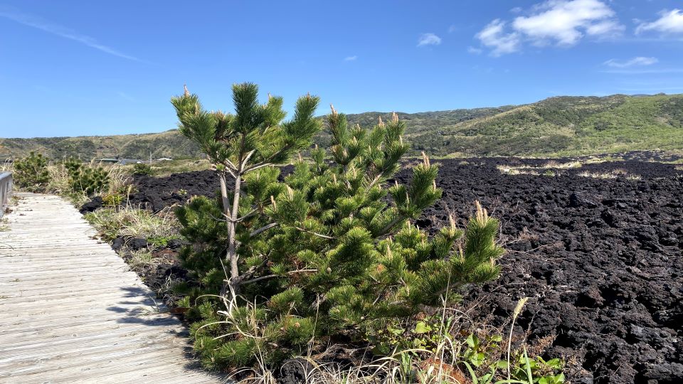 火山体験遊歩道