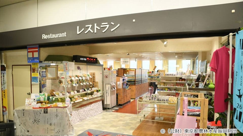 【八丈島】 レストラン アカコッコ