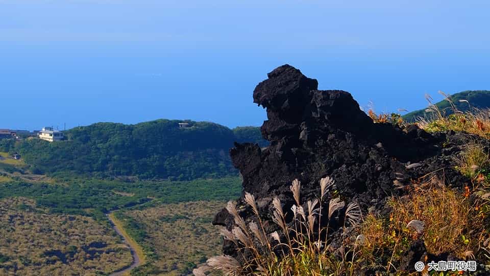 【伊豆大島】三原山 ゴジラ岩