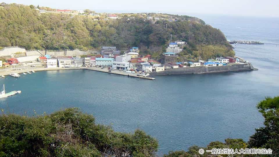 伊豆大島 波浮港見晴台 観光情報 伊豆諸島旅行ツアー