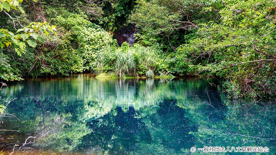 【八丈島】 硫黄沼