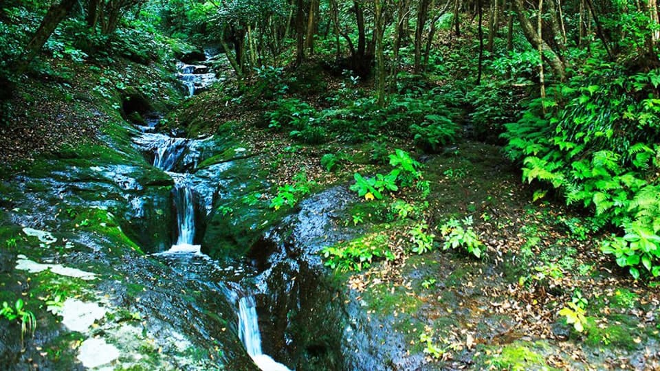 【八丈島】 ポットホール（こん沢林道甌穴群）