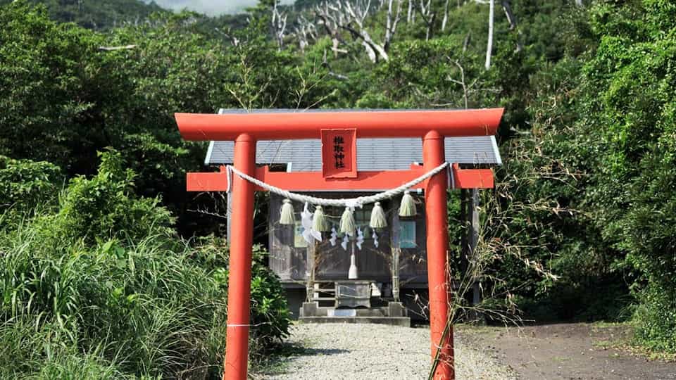 【三宅島】椎取神社(しいとりじんじゃ)