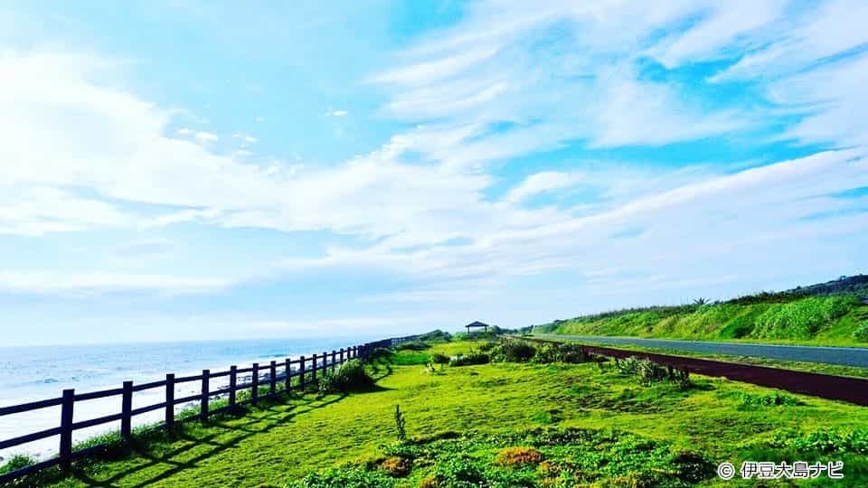 【伊豆大島】サンセットパームライン