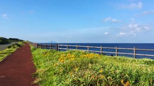 伊豆大島　サンセットパームライン