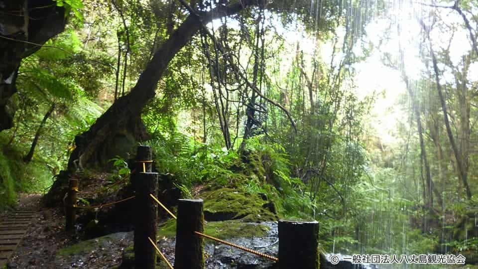 【八丈島】裏見ヶ滝