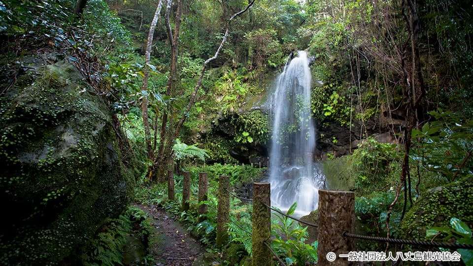 八丈島 裏見ヶ滝