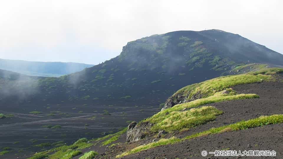 【伊豆大島】三原山 裏砂漠