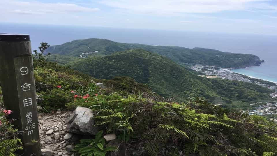 【神津島】天上山ディスカバリーツアー