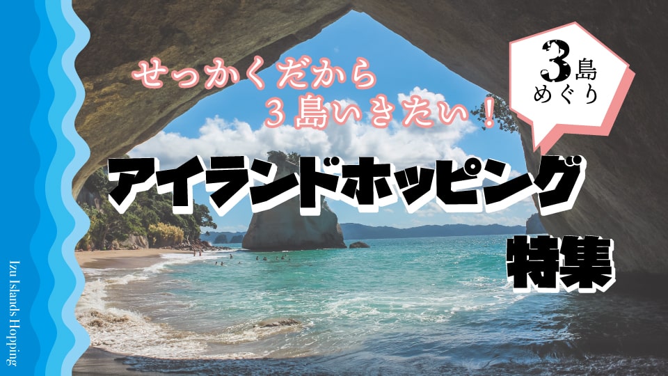 3島めぐり アイランドホッピング 東海汽船 飛行機で行く伊豆諸島旅行ツアー