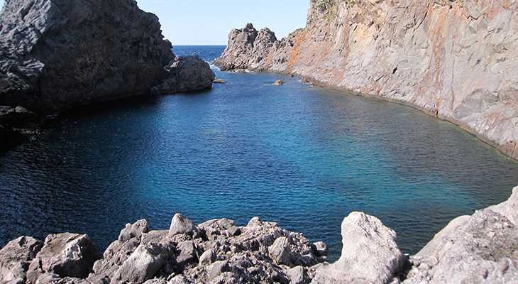 【神津島】千両池