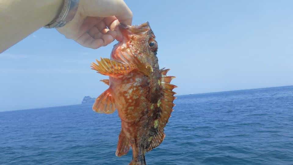 【伊豆諸島】釣り