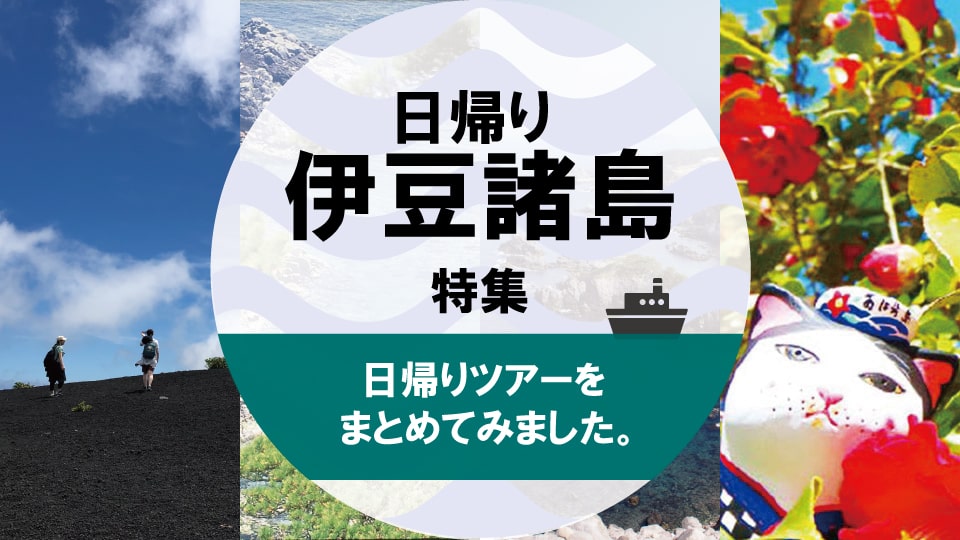 東海汽船 飛行機で行く伊豆諸島ツアー トラベルロード 東海汽船 飛行機で行く伊豆諸島ツアー トラベルロード