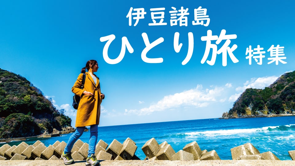 伊豆諸島 ひとり旅 東海汽船 飛行機で行く伊豆諸島旅行ツアー 伊豆諸島 ひとり旅 東海汽船 飛行機で行く伊豆諸島旅行ツアー