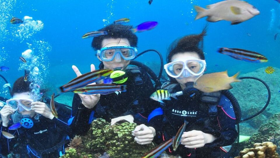 神津島 体験ﾀﾞｲﾋﾞﾝｸﾞ 対象 10歳以上