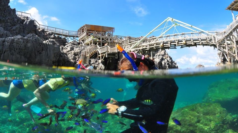 神津島 シュノーケリングスクール オプション 伊豆諸島旅行ツアー