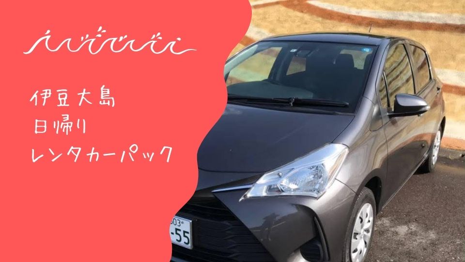 伊豆諸島 日帰りツアー 東海汽船 飛行機で行く伊豆諸島旅行ツアー