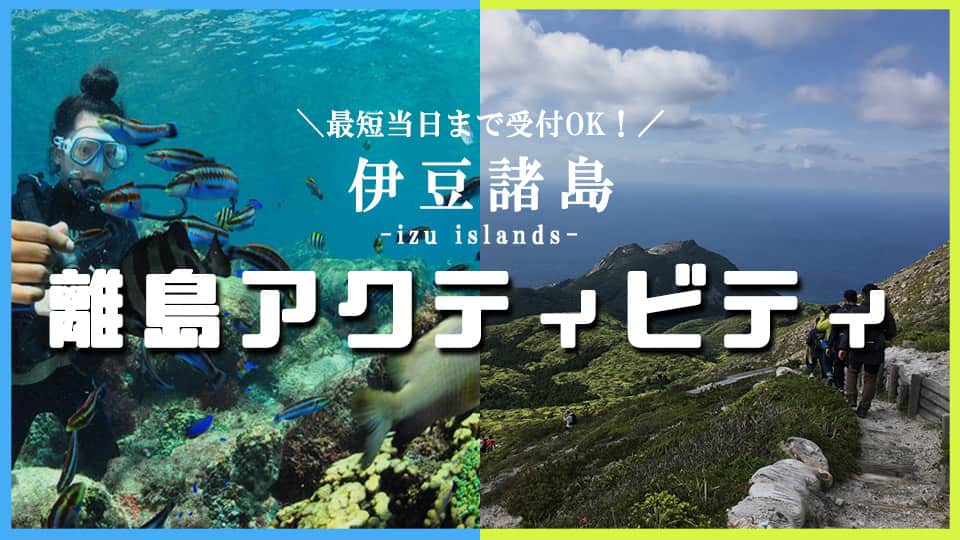 東海汽船 飛行機で行く伊豆諸島ツアー トラベルロード 東海汽船 飛行機で行く伊豆諸島ツアー トラベルロード