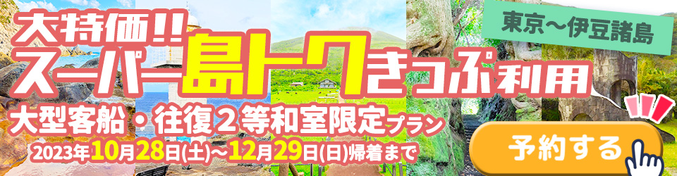 伊豆大島ツアー 伊豆大島旅行 スーパー島トクきっぷ