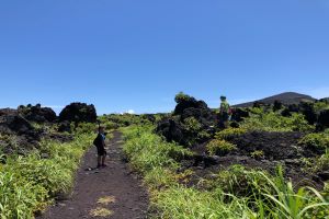 伊豆大島☆三原山レンタル付トレッキングパック
