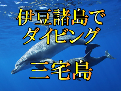 三宅島でダイビング!