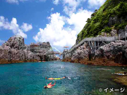 神津島でダイビング!伊豆諸島ツアー