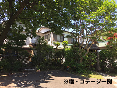 伊豆大島《グループおすすめ!》ハッピーバリュー