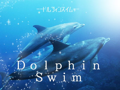 ドルフィンスイムパック☆【民宿クラス】