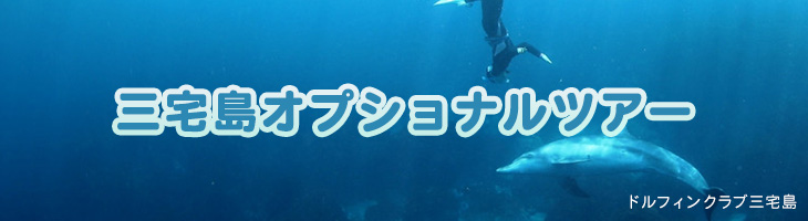 三宅島オプショナルツアー