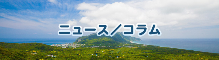 ニュース