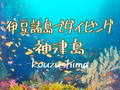神津島でダイビング!伊豆諸島ツアー