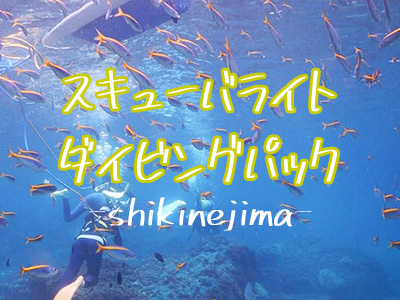 式根島スキューバライト(旧スヌーバ)ダイビングパック