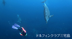ドルフィンスイム(写真提供:ドルフィンクラブ三宅島)