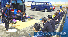 ドルフィンスイム・スクール
