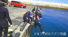 ドルフィンスイム・スクール