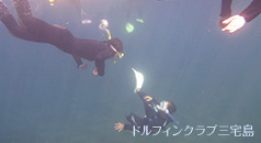 ドルフィンスイム・スクール