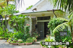八丈島☆八丈富士レンタル付トレッキングパック