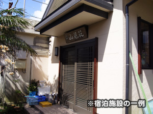 神津島でダイビング!伊豆諸島ツアー