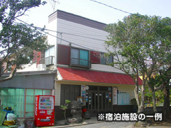 三宅島でダイビング!伊豆諸島ツアー