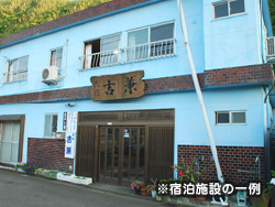 三宅島でダイビング!伊豆諸島ツアー