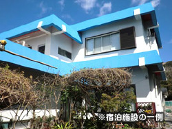 【GW出発】ぶっとびアイランド新島